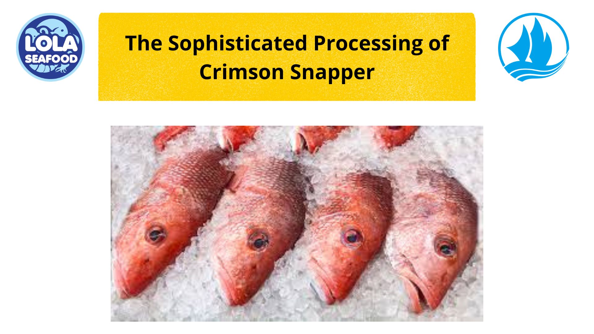 The Sophisticated Processing of Crimson Snapper